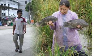 Manh has returned after being away for a few days - Yen has caught some very large fish.