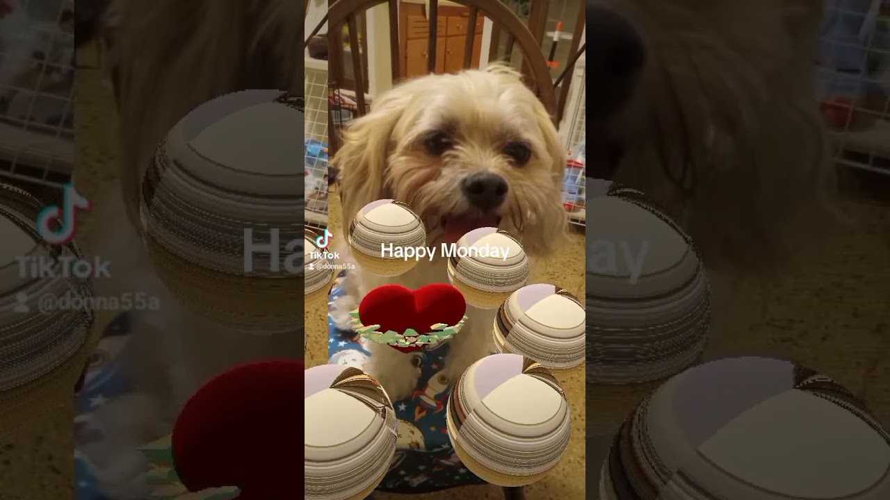 2024 10 21 160811892