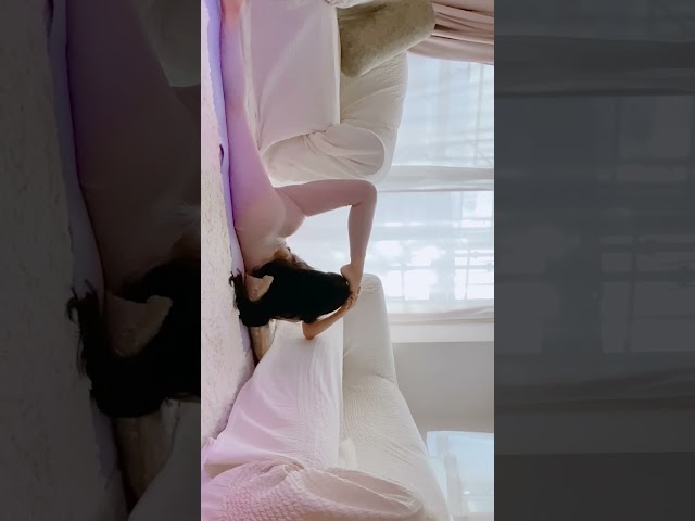 #blog #shorts #fyp #legs #leotard #music #stretch