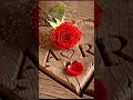 🌹🌺🥀दिल पे तेरे लिख दो🌹🥀🌿#good #love #youtube #trending #song #Radhe Radhe