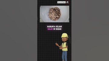 Mesin Pemarut Jahe Otomatis, Bikin Usaha Makin Cepat! #jahe #herbal #parutan #otomatis #jamu #umkm