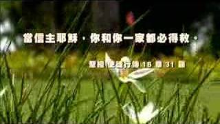 TV0929 把爱,带回家