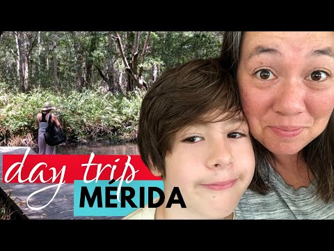 Merida Mexico Beaches | Celestun | Single Mom Travel