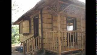 The 3 Little Pigs Trailer