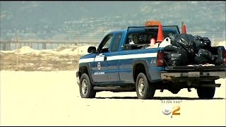 Woman Sunbathing Run Over By County Vehicle On Venice Beach screenshot 3