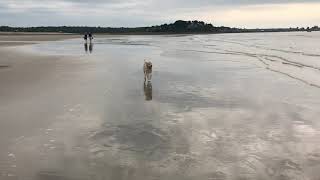 Parsons Beach July 2018