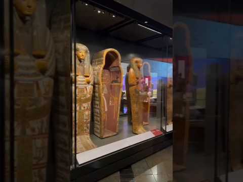 يا أغلى إسم في الوجود يامصر ممدوح حامد