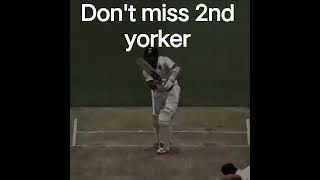 Mitchell Starc best yorkers in history daily upload yorker video ek challenge do mujhe cricket