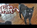 【緊急】病院で診断された病名は、、、