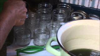 Making Chocolate Mint Extract and Canning Chocolate Mint Jelly Update