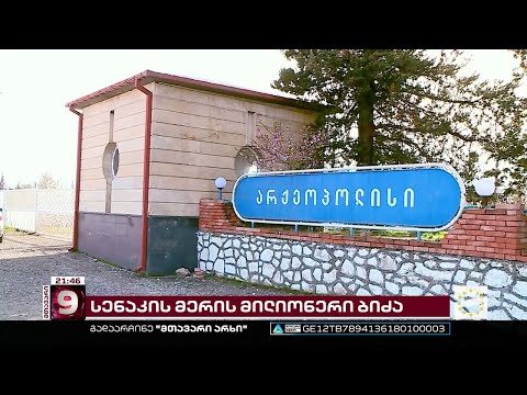 ტენდერებით გამდიდრებული სენაკის მერის ოჯახი | 10 მილიონზე მეტი გადელიას ბიძის კომპანიისთვის