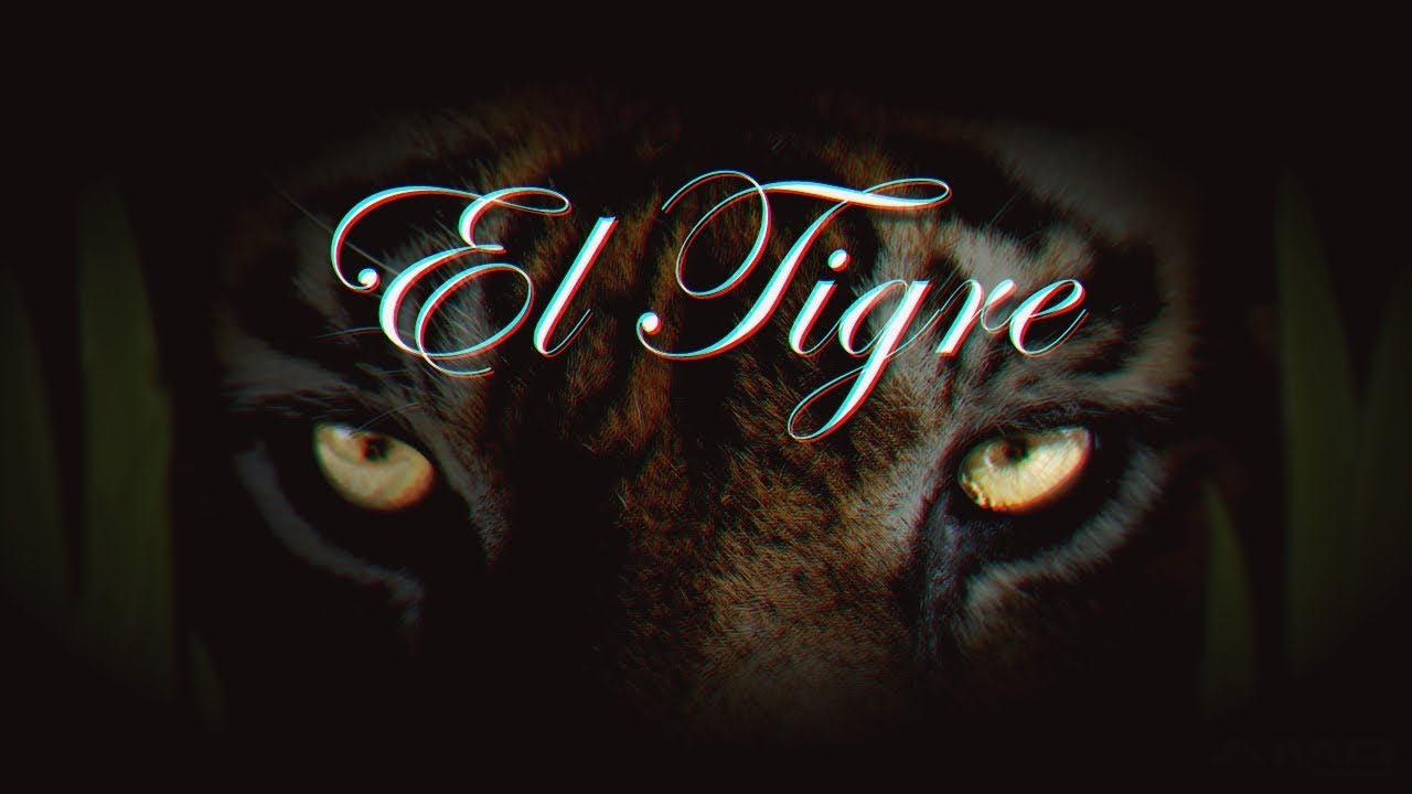 [FREE] Lacrim feat Ninho Type Beat 2019 - "El Tigre" (Prod. by BROXER)