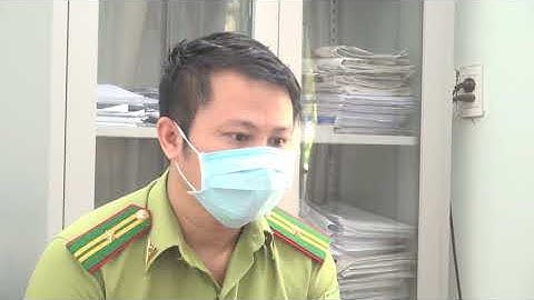 Điện Biên: Ngang nhiên khai thác rừng phòng hộ trên đèo Pha Đin