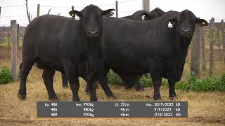 Trio RPs 485 / 486 / 489 - Rte Ceres