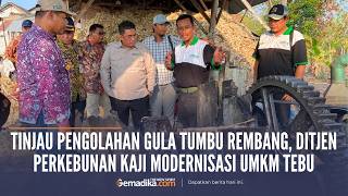 Ditjen Perkebunan Tinjau Pengolahan Gula Tumbu di Rembang, Modernisasi UMKM Tebu Mulai Dikaji