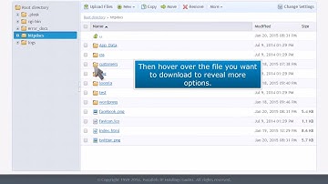 Plesk: How to Download Files With File Manager