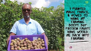 How I started my Passion fruits orchard. I've learnt that farming is a blend of art and science!