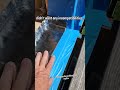 Using York Manufacturing 304SS SA to make a back dam. #flashing #internationalflashingawarenessday