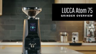 LUCCA Atom 75 Espresso Grinder Overview