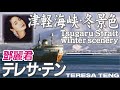 津軽海峡・冬景色  Tsugaru Strait winter scenery      テレサ・テン  Teresa Teng