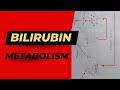 Bilirubin Metabolism | Bilirubin | Dr. Ravitesh Prasad