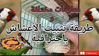 طريقة تثبيت اعشاش الحسون في السلاكة بإحترافية و بدون مشاكل.