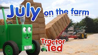 July on the Farm | Tractor Ted Official 🚜☀️