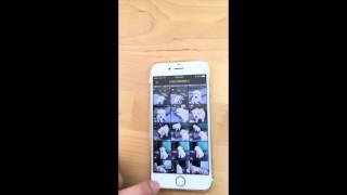 Live Photo to GIF or Video (ImgPlay for iOS)