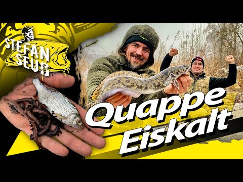 Video: Wie Und Was Quappe Im Winter Fangen