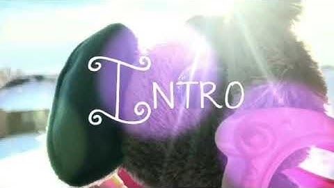 Backseat Driver MEP | Thanks for 300 subs!!! [CLOSED]