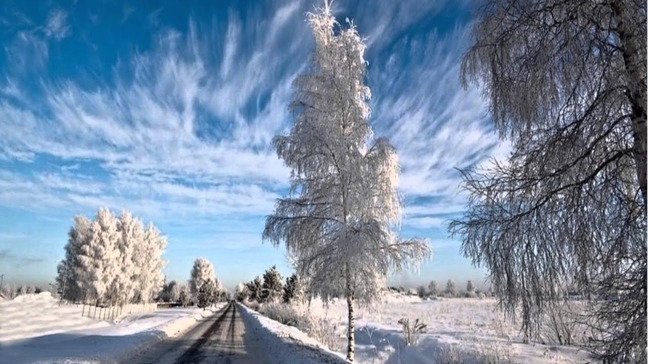 Какая пороша будет завтра. Пороша фото. Латвия зима. Пороша 1920. Пороша иллюстрация.