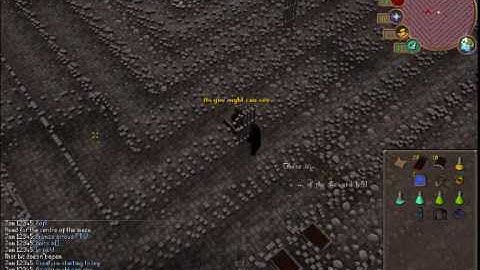 Runescape Level 3 Clue Scroll Good reward