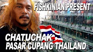 CHATUCAK PASAR IKAN CUPANG  DI THAILAND || FISHKINIAN BORONG HALFMOON DAN PLAKAT AVATAR DI THAILAND