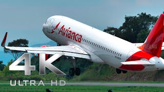 Despegue de Avión 🛫 | AirBUS A320 AVIANCA HK-5424🇨🇴 | Aeropuerto Internacional Palonegro | 4K🎥60FPS