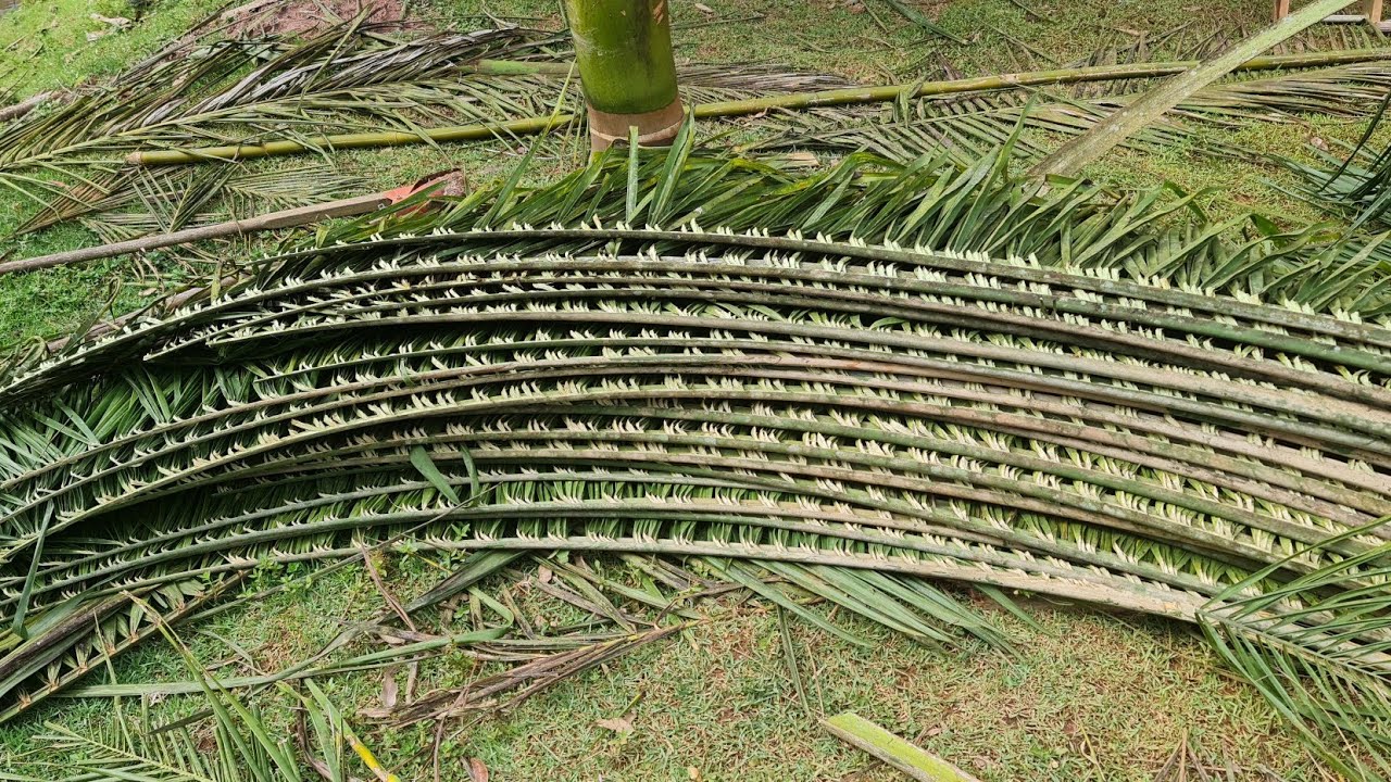 FOLHAS DE COQUEIROS COMO COBERTURA... REDARIO COM BAMBU, EUCALIPTO E FOLHAS VERDES