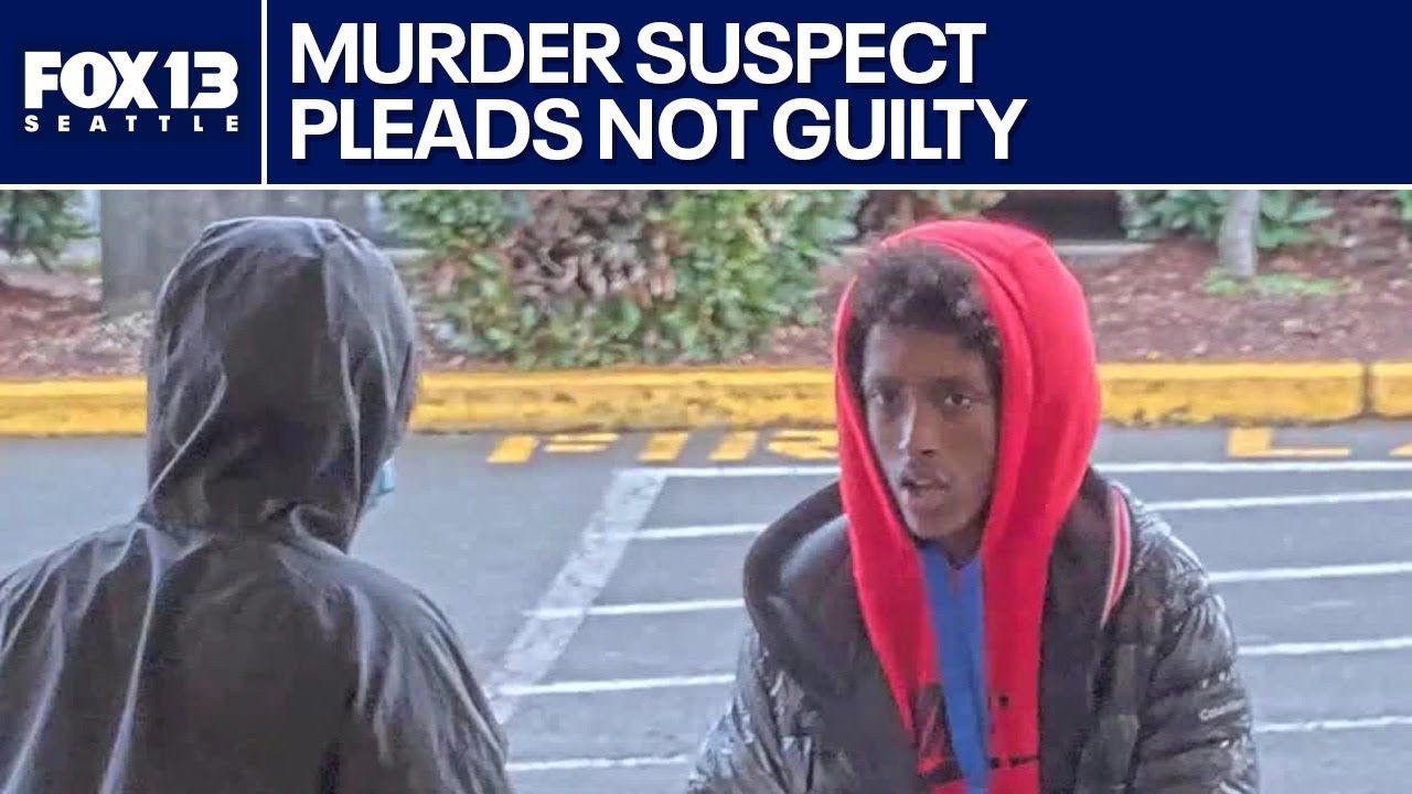 Murder suspect pleads not guilty in court - YouTube
