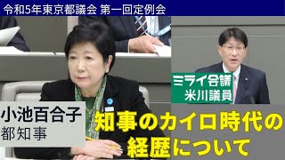 知事のカイロ時代の経歴について