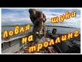 ЛОВЛЯ ЩУКИ НА ТРОЛЛИНГ ... р. Волга