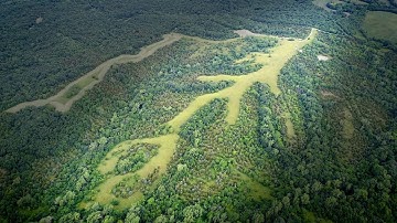 Foodplot Architecture with Mark Drury on 97 Acres in Missouri!