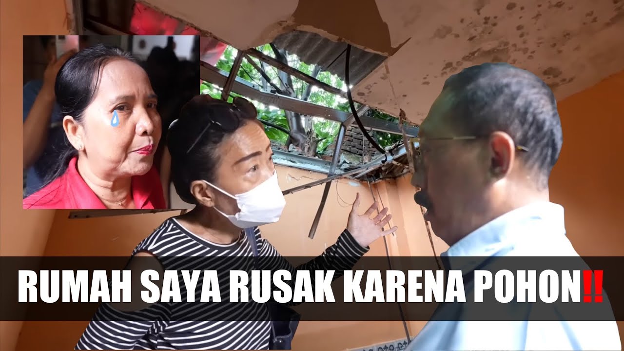 RUMAH RUSAK TERTIMPA POHON, PEMILIK RUMAH KOSONG DITUNTUT PERBAIKAN OLEH CAKJI⁉️