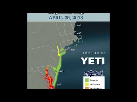 Striper Migration Chart