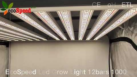 ecospeed led grow light 1000w high ppfd