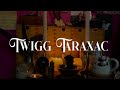 Twiggounette devient twigg taraxac