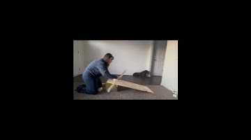 Phys 1010 Module 2 Project