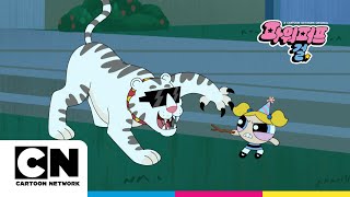 내 친구 프린세스ㅣ시즌1 삼십육화ㅣ파워퍼프걸ㅣ시리즈 연속보기ㅣ카툰네트워크ㅣPoorbucksㅣPowerpuff Girls