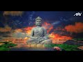 Pimpalachya Panavar - Ammy | बुद्ध पौर्णिमा | 2023 Mp3 Song