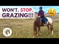 Horse Grazing While Leading & Riding - EASY FIX