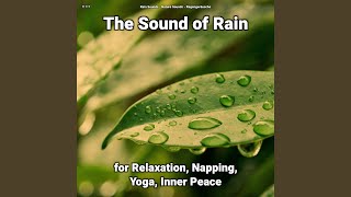 The Sound of Rain Pt. 13