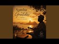 Samba da Gratid&atilde;o