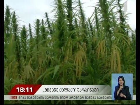 „მწვანე ქალაქი“ უკრაინაში